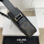 Medium Messenger Bag in Triomphe Canvas with Celine Print