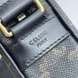 Medium Messenger Bag in Triomphe Canvas with Celine Print