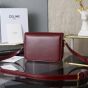 Celine TEEN TRIOMPHE BAG IN SHINY CALFSKIN