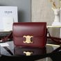 Celine TEEN TRIOMPHE BAG IN SHINY CALFSKIN