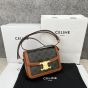 Celine TEEN TRIOMPHE BAG IN TRIOMPHE CANVAS AND CALFSKIN
