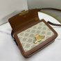 Celine TEEN TRIOMPHE BAG IN TRIOMPHE CANVAS AND CALFSKIN