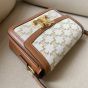 Celine TEEN TRIOMPHE BAG IN TRIOMPHE CANVAS AND CALFSKIN