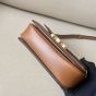 Celine TEEN TRIOMPHE BAG IN TRIOMPHE CANVAS AND CALFSKIN