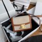 Celine TEEN TRIOMPHE BAG IN TEXTILE AND CALFSKIN