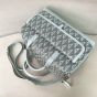 Dior Hit the Road Pet Carrier Bag