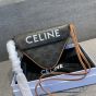 triangle bag in Triomphe Canvas with Celine print