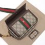 Gucci Ophidia mini bag