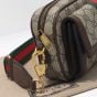 Gucci Ophidia mini bag