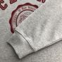 celine blason loose sweatshirt in cotton fleece