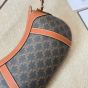 CELINE STRIPED HOBO IN TRIOMPHE CANVAS & CALFSKIN