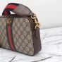 Gucci Ophidia small crossbody bag
