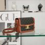 Celine Classique Triomphe Bag in Triomphe Canvas and Calfskin