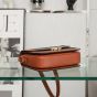 Celine Classique Triomphe Bag in Triomphe Canvas and Calfskin