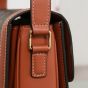 Celine Classique Triomphe Bag in Triomphe Canvas and Calfskin