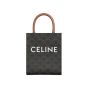 MINI VERTICAL CABAS IN TRIOMPHE CANVAS AND CALFSKIN WITH CELINE PRINT