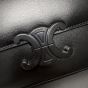Celine TEEN TRIOMPHE BAG IN SHINY CALFSKIN
