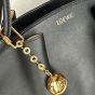 LOEWE Small Paseo bag in shiny nappa calfskin