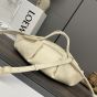 LOEWE Small Paseo bag in shiny nappa calfskin