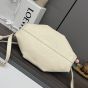 LOEWE Small Paseo bag in shiny nappa calfskin