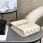 MINI VERTICAL CABAS IN TRIOMPHE CANVAS AND CALFSKIN WITH CELINE PRINT