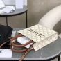MINI VERTICAL CABAS IN TRIOMPHE CANVAS AND CALFSKIN WITH CELINE PRINT