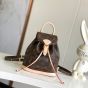 LV Montsouris Mini
