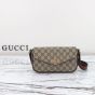 Gucci Ophidia mini bag