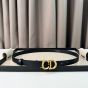 Dior Saddle Belt