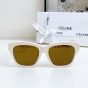 Celine Triomphe 13 Sunglasses in Acetate