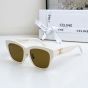 Celine Triomphe 13 Sunglasses in Acetate