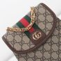 Gucci Ophidia mini backpack