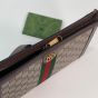 Gucci Ophidia pouch