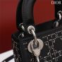 Mini Lady Dior Bag