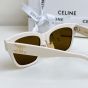 Celine Triomphe 13 Sunglasses in Acetate