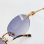 Miu Miu Logo sunglasses