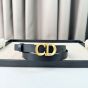 Dior Saddle Belt