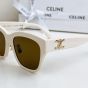 Celine Triomphe 13 Sunglasses in Acetate