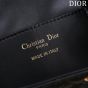 Small Dior Caro Backpack