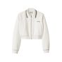 MIU MIU Bonded piqué and technical jersey blouson jacket