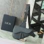 Dior Saddle Bag