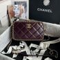 CHANEL Small Camera Case