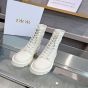 Dior D-Unit Ankle Boot