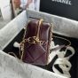 CHANEL Small Camera Case