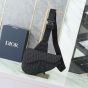 Dior Saddle Bag