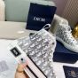 Dior B23 High-Top Sneaker