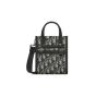 Dior Safari North-South Mini Tote Bag