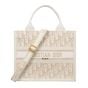 Small Dior Book Tote