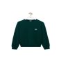 LOEWE Sweater in wool