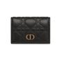 Dior Caro Glycine Wallet